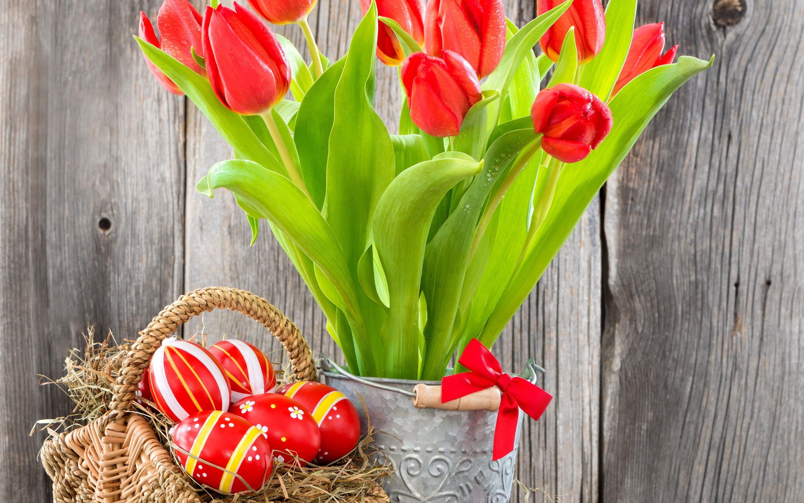 flowers, Eggs, Tulips, Basket, Easter, Eggs, Easter, Red Wallpaper HD / Desktop and Mobile Background