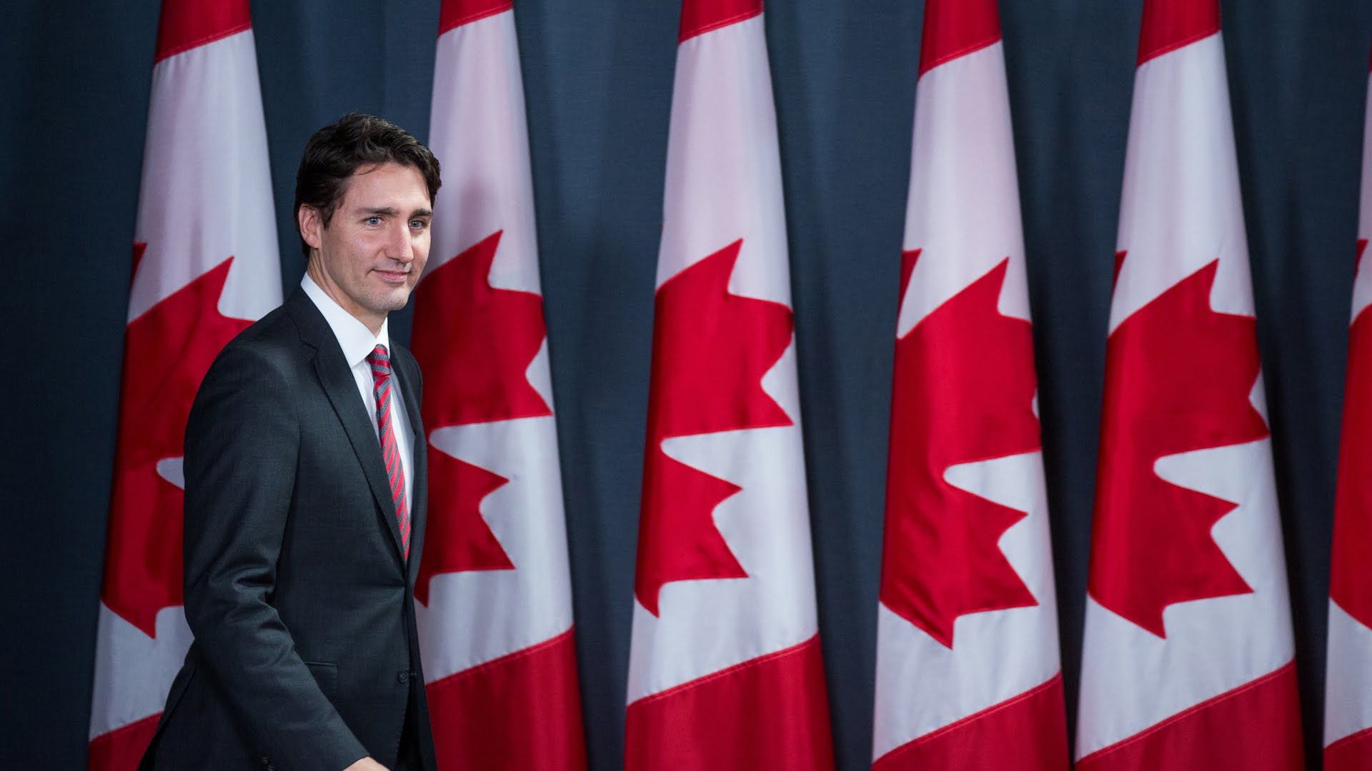 More than a Pretty Face: Justin Trudeau and the Liberal Vision for Canada Political Review