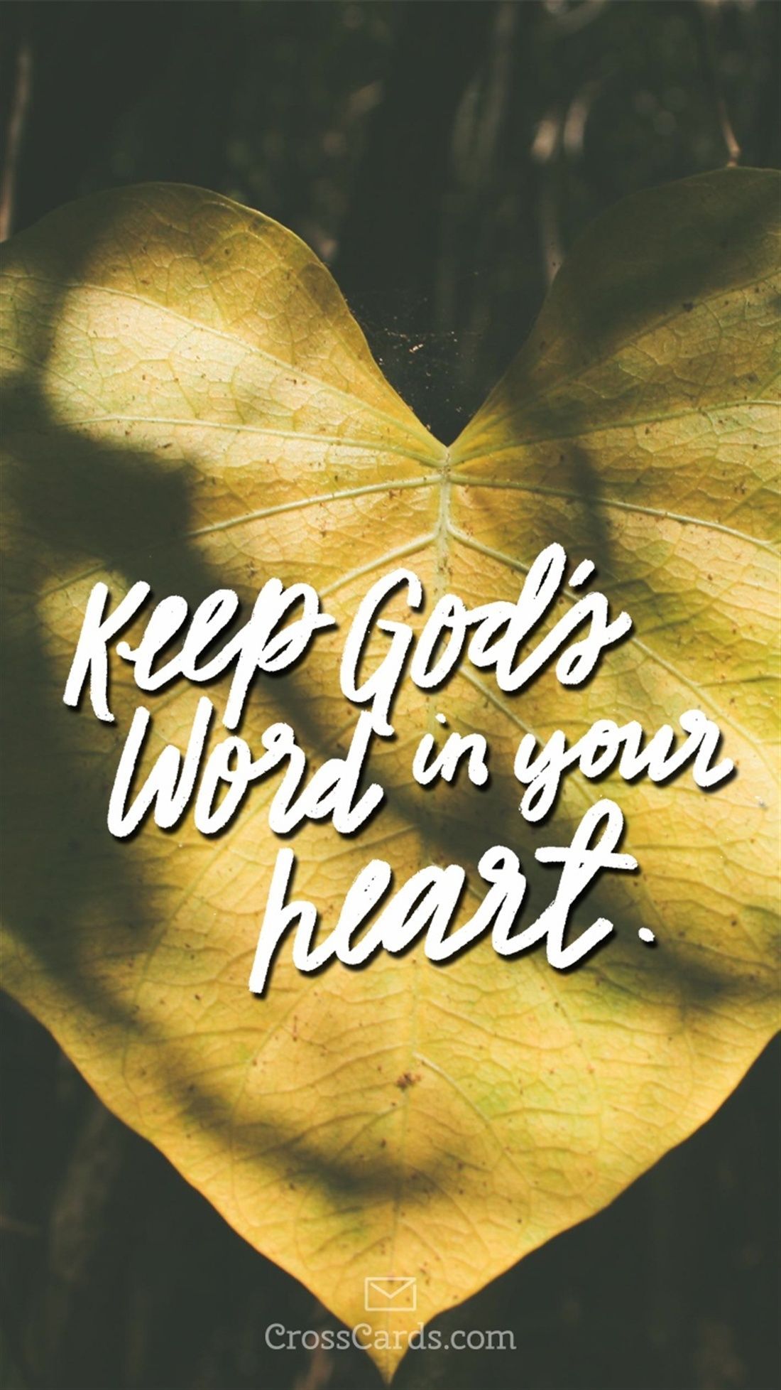 Keep God's Word in Your Heart Phone Wallpaper. S word, Words, God