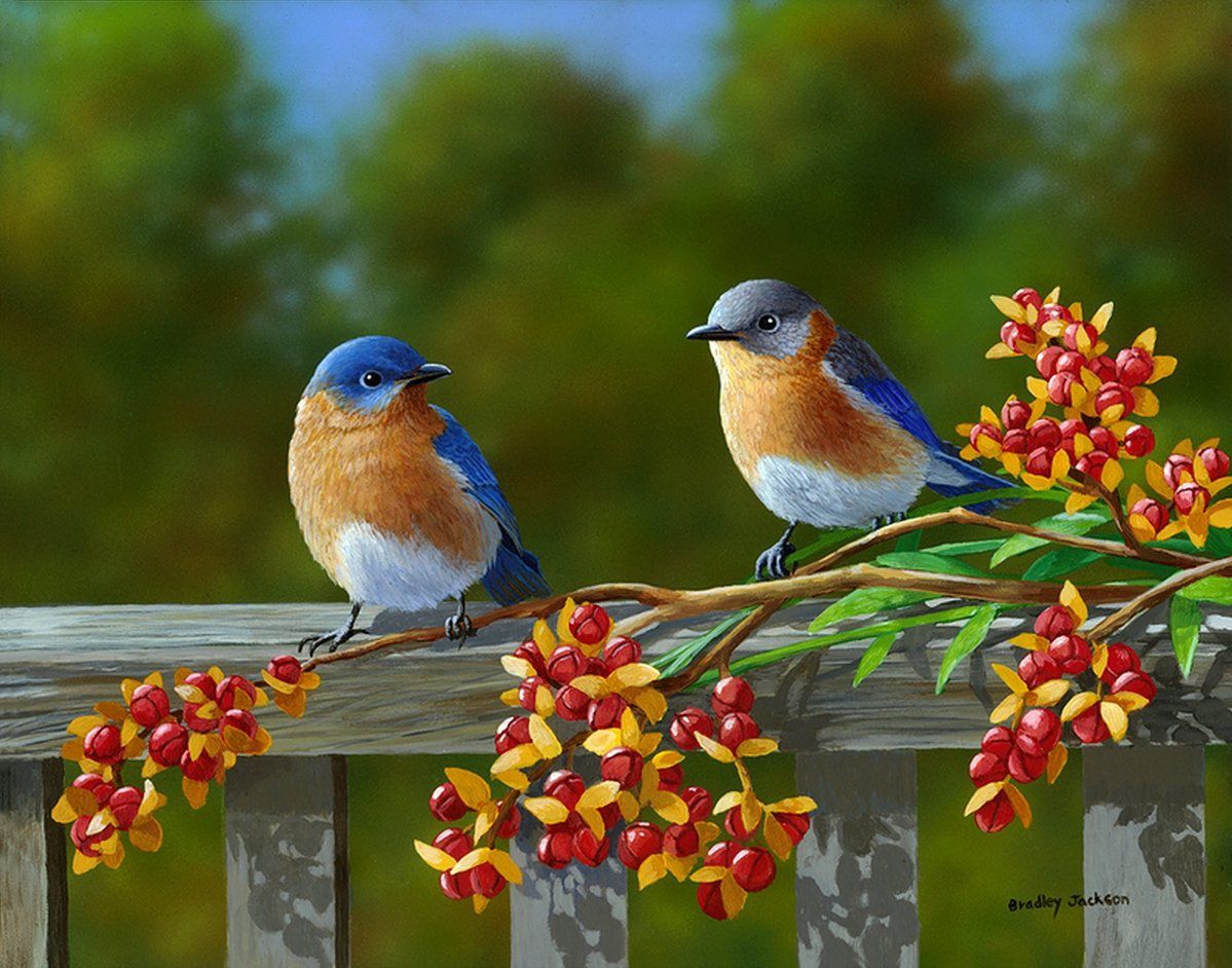 Free Spring Desktop Wallpaper with Birds