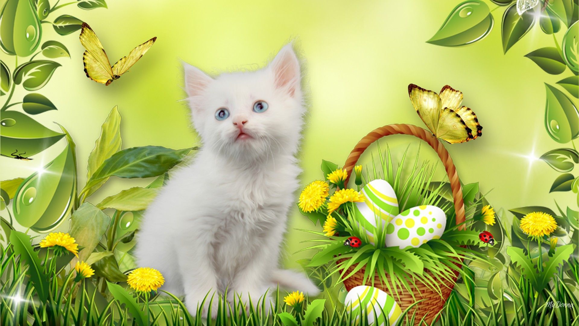 Kittens Easter Spring Kitty Eggs Cat Basket HD wallpaper. Cat basket, Easter spring, Kittens