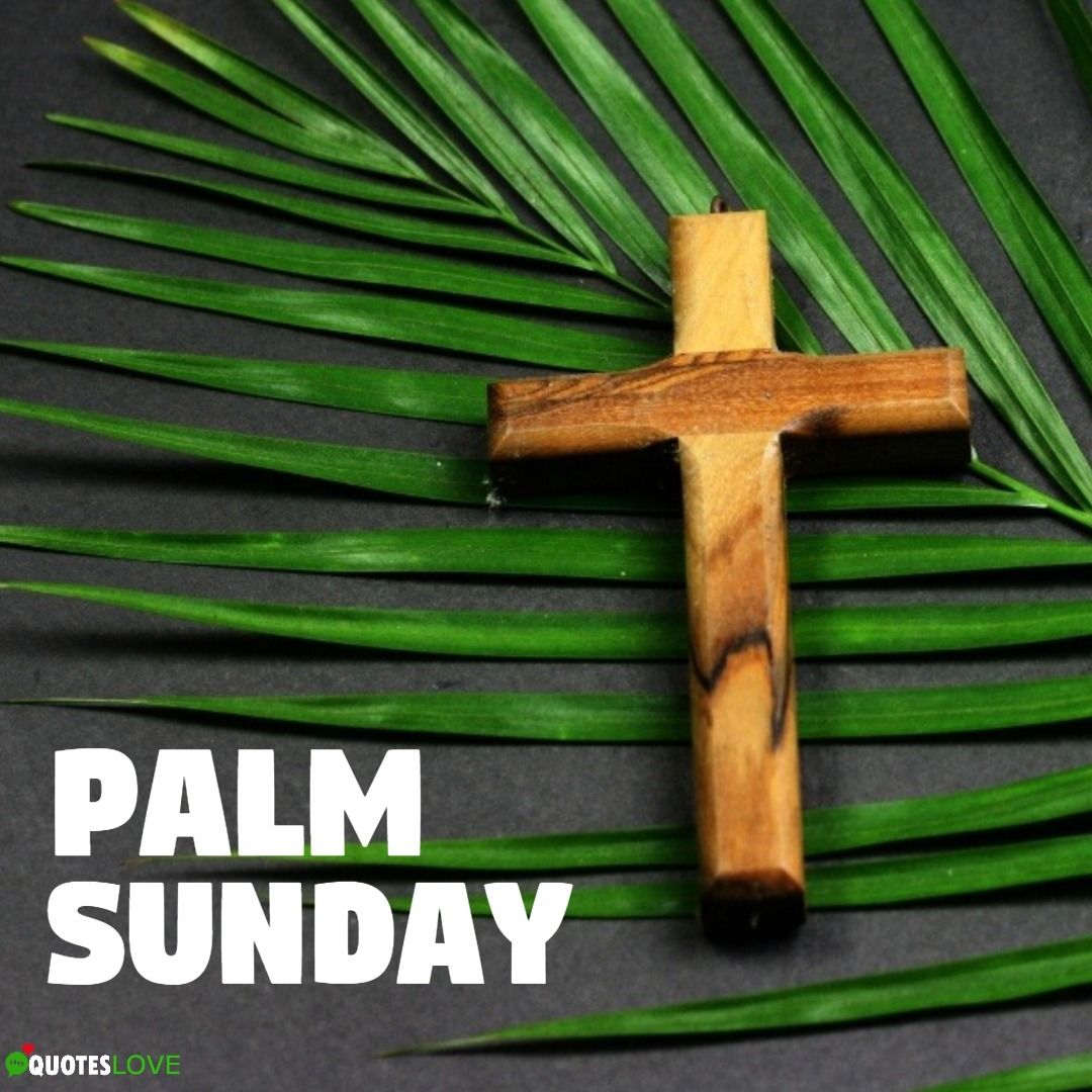 Latest) Palm Sunday 2021: Image, Photo, Posters, Wallpaper, Picture