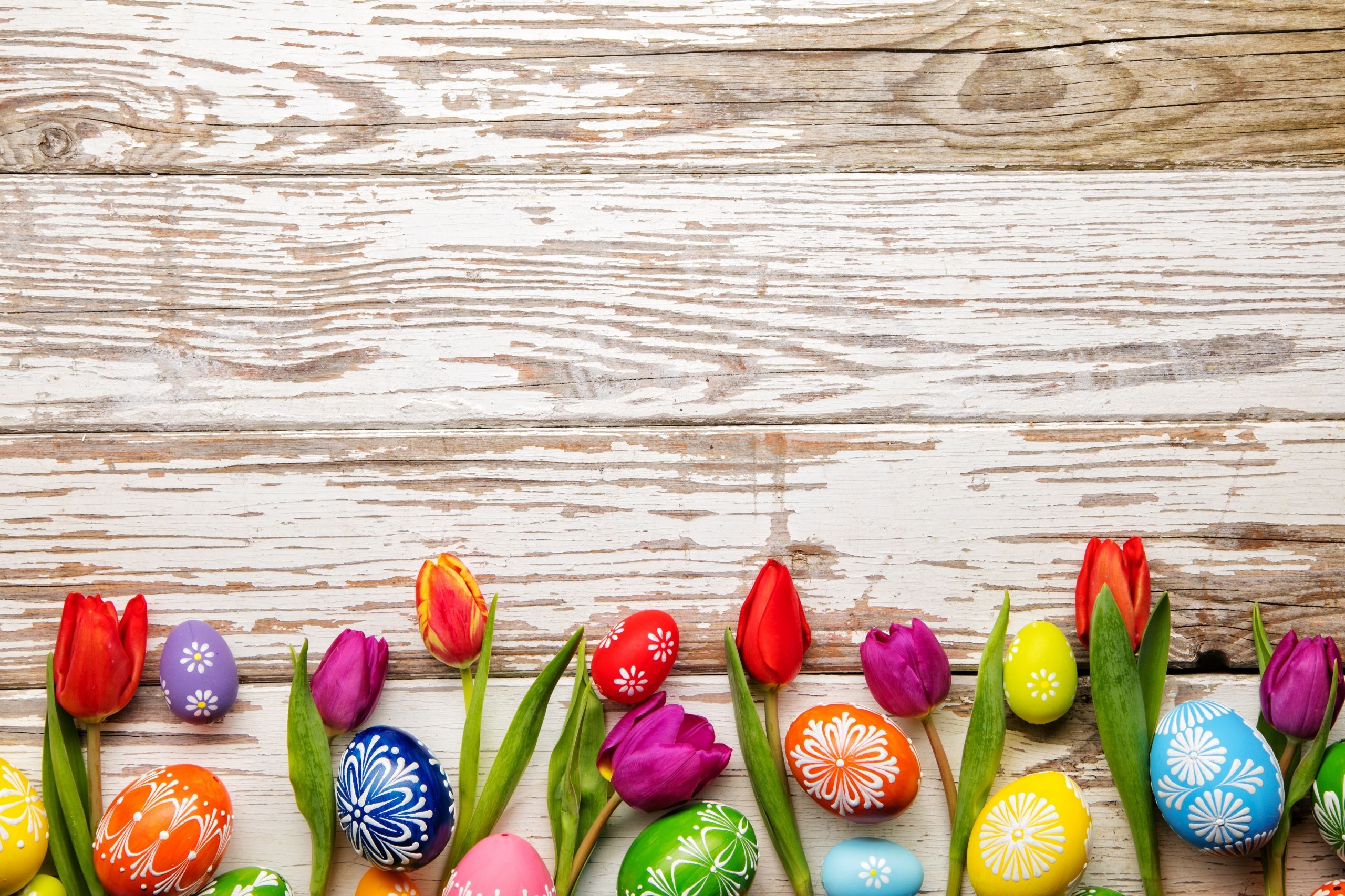 Фотографии Пасхальные яйца Тюльпаны Цветы Праздничные доски. Easter background, Easter, Easter eggs