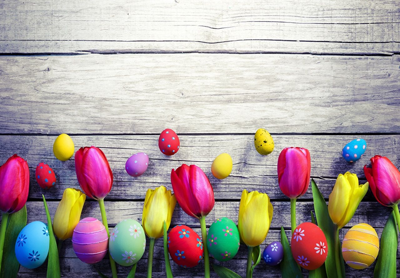 Picture Easter Eggs Tulips Flowers greeting card boards
