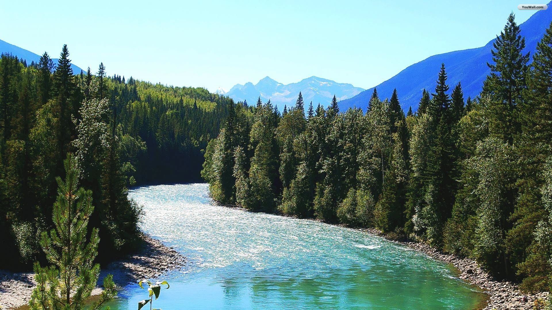 Blue Mountains In Summer Wallpaper & Background Download