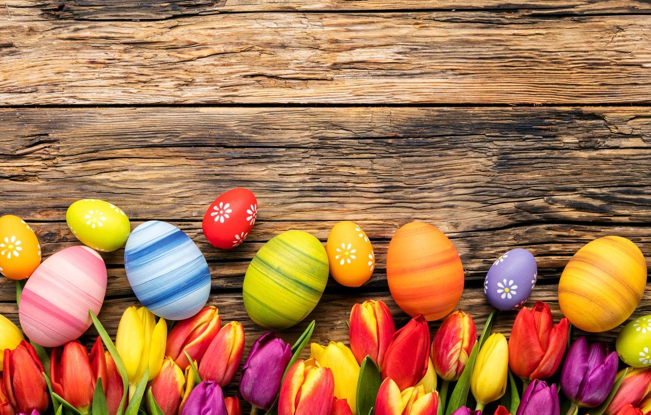 Wallpaper flowers, eggs, spring, colorful, Easter, tulips, wood, flowers, tulips, spring, Easter, eggs, decoration, Happy image for desktop, section праздники