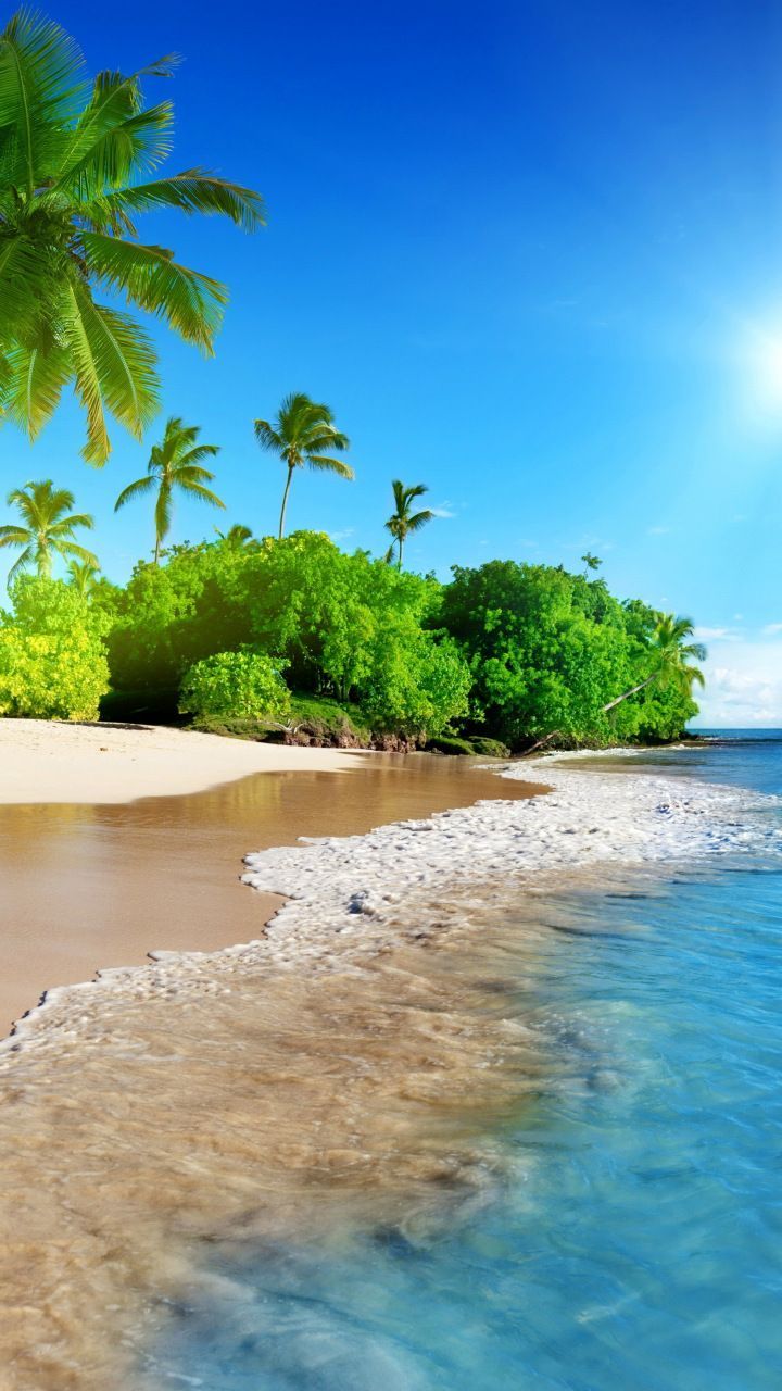 Tropical beach, sea, calm, sunny day, holiday, 720x1280 wallpaper. Summer beach picture, Scenic photo, iPhone spring wallpaper