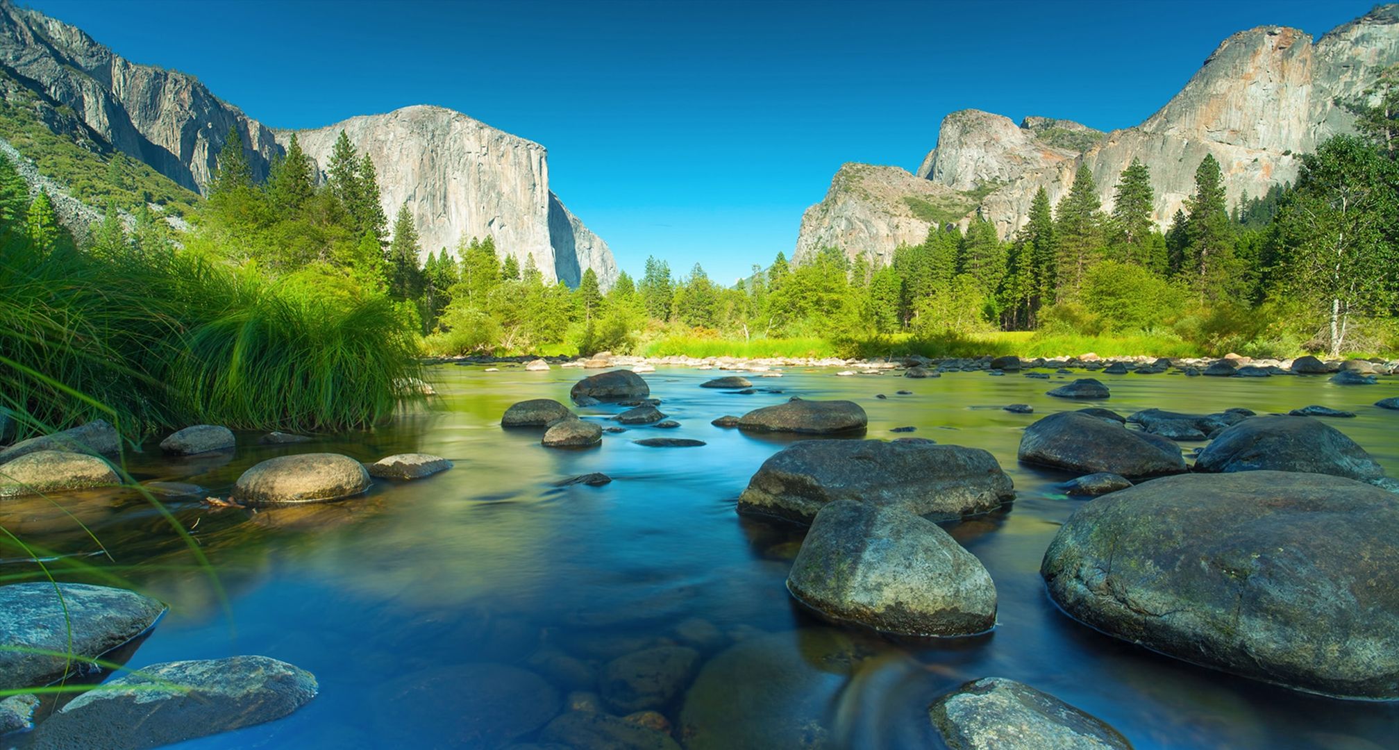 forest, cliff, beautiful, river, El Capitan, summer, National Park, mountain, valley wallpaper