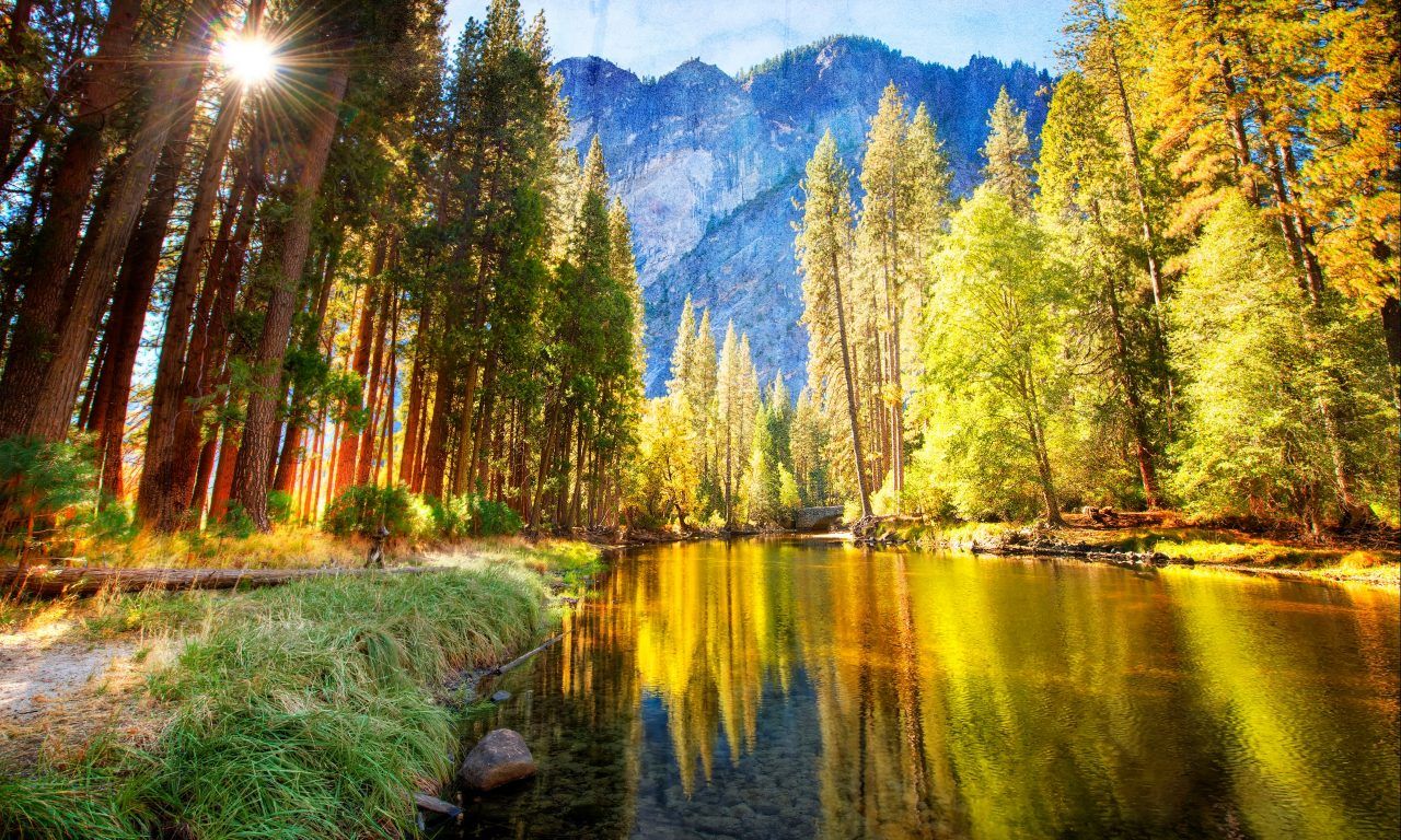 Nature Mountainous River Bank With Pine Trees And Green Grass Mountain Rays Summer 2560x1600 HD Wallpaper, Wallpaper13.com