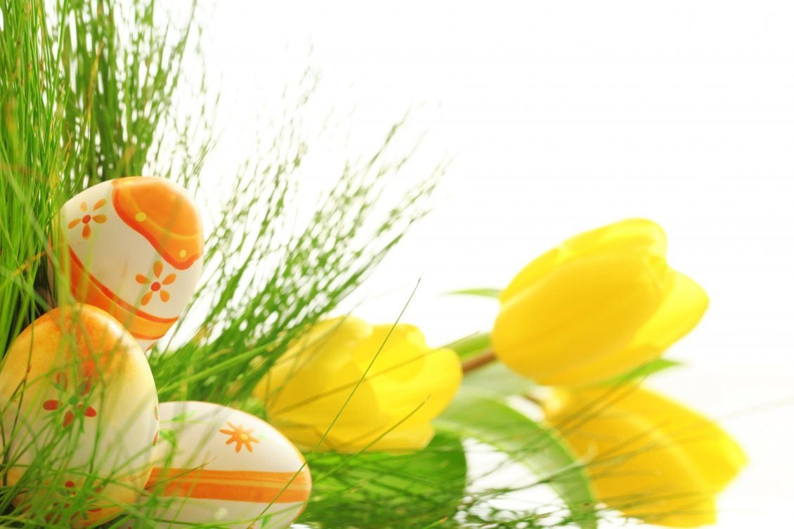 Download Wallpaper Yellow Tulips And Beautiful Coloured Tulips Happy Easter