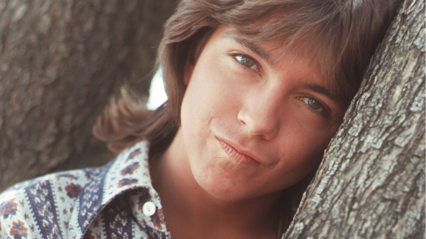 David Cassidy Wallpapers.