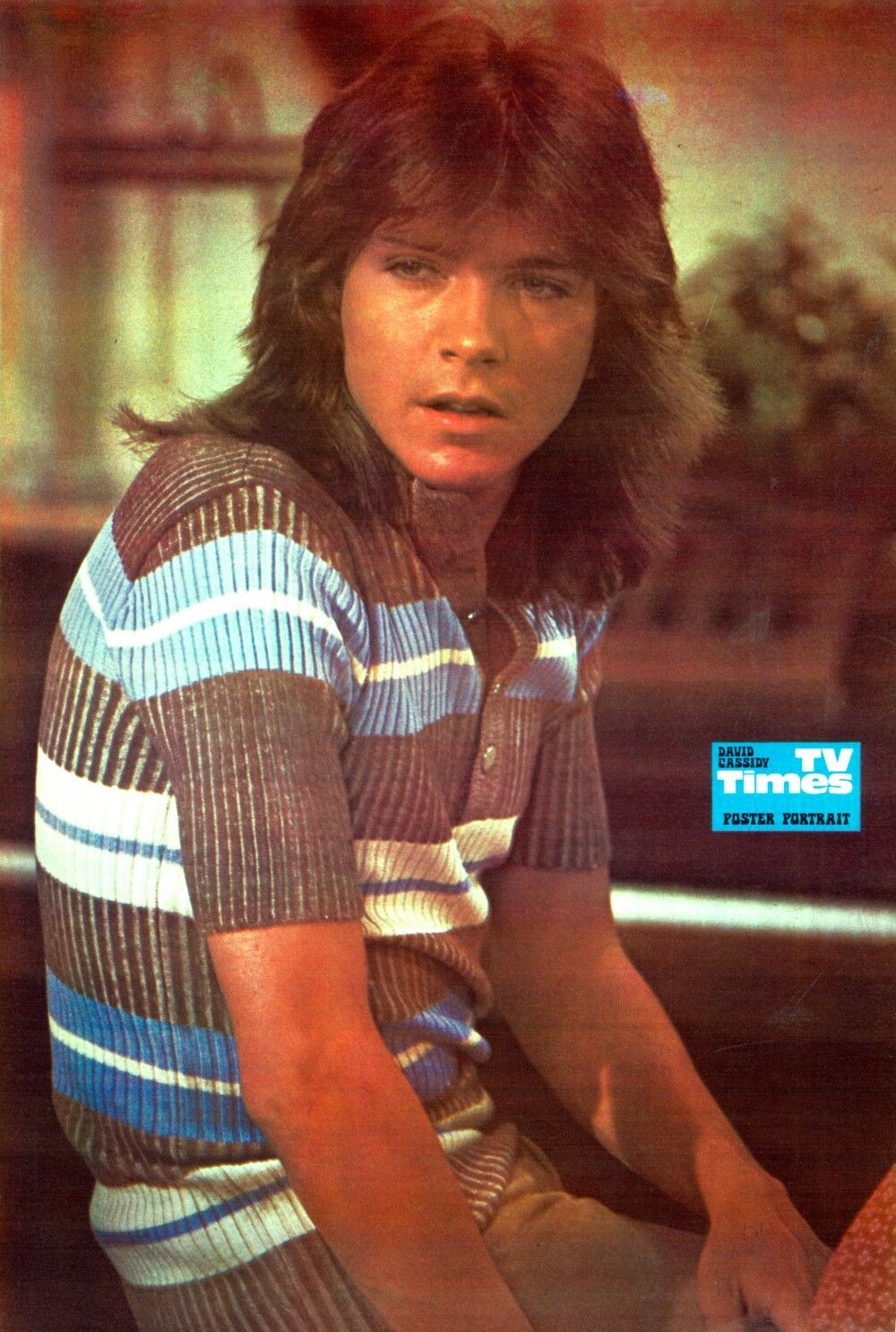 David Cassidy Wallpapers - Wallpaper Cave
