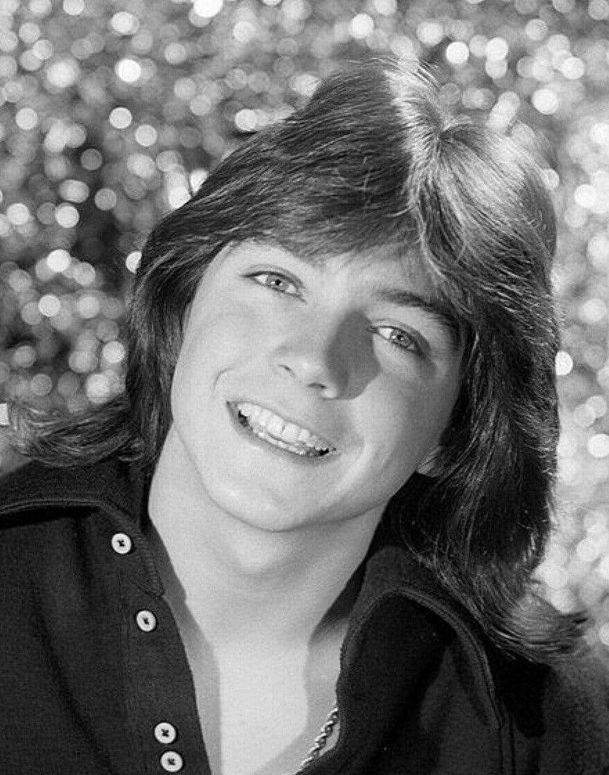 David Cassidy Wallpapers - Wallpaper Cave