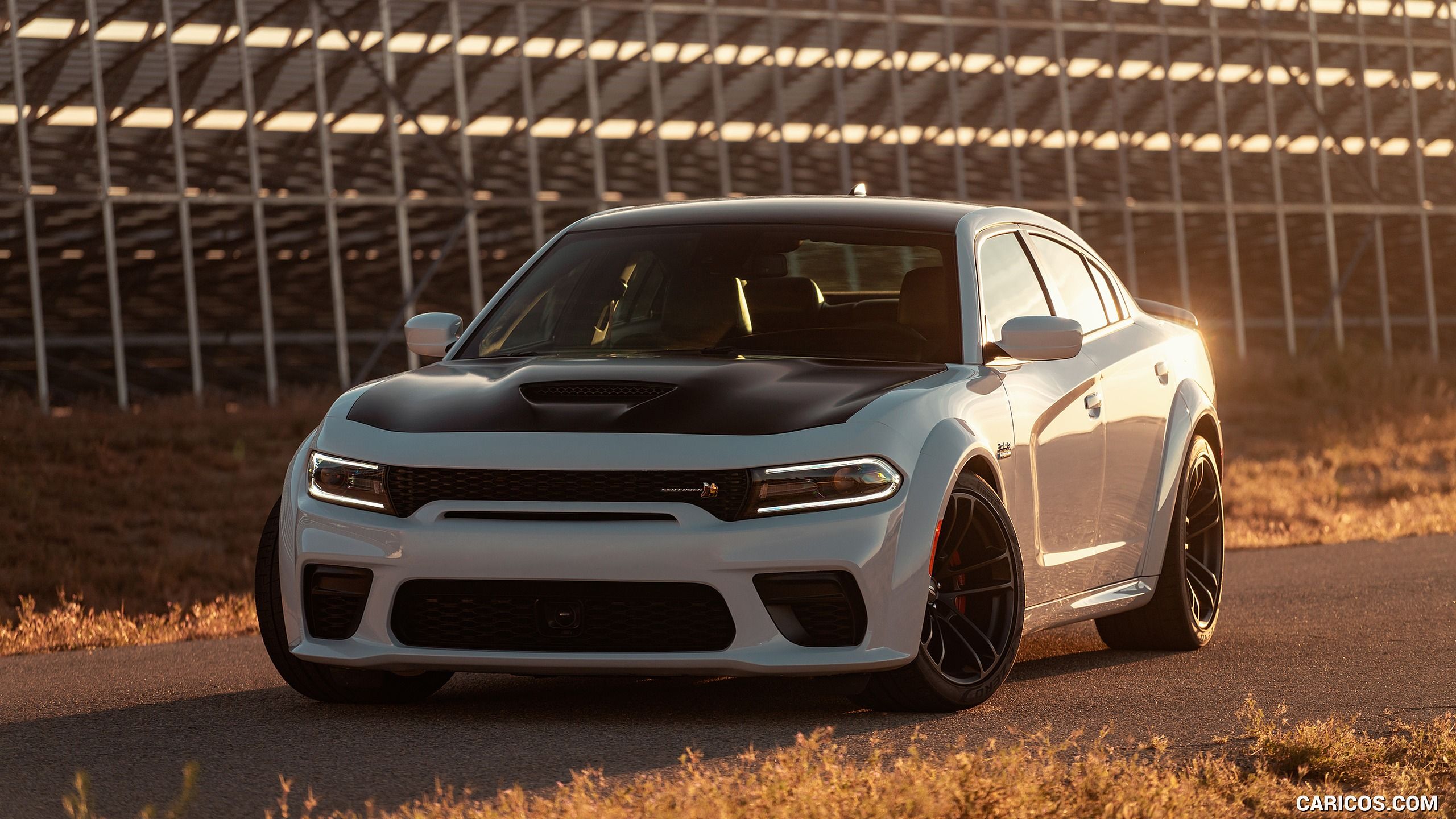 Dodge Charger Scat Pack Widebody. HD Wallpaper