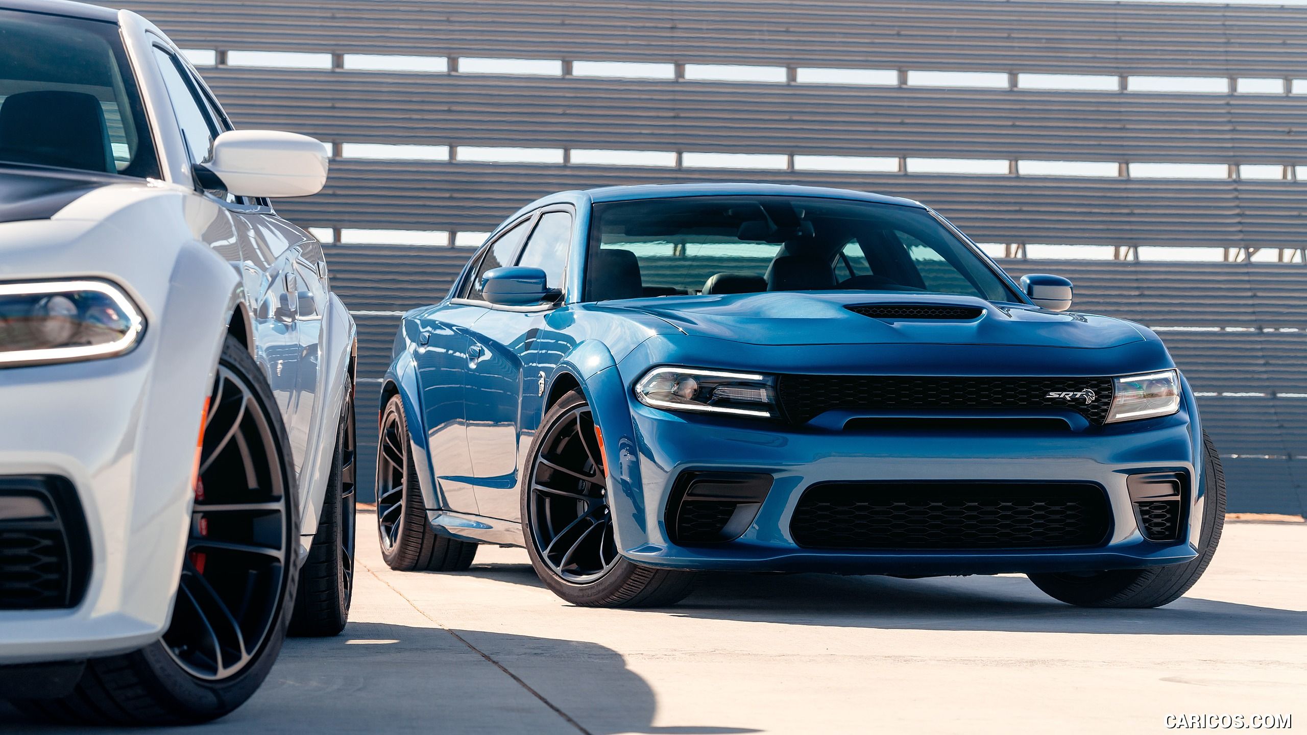 Dodge Charger SRT Hellcat Widebody and Charger Scat Pack Widebody. HD Wallpaper
