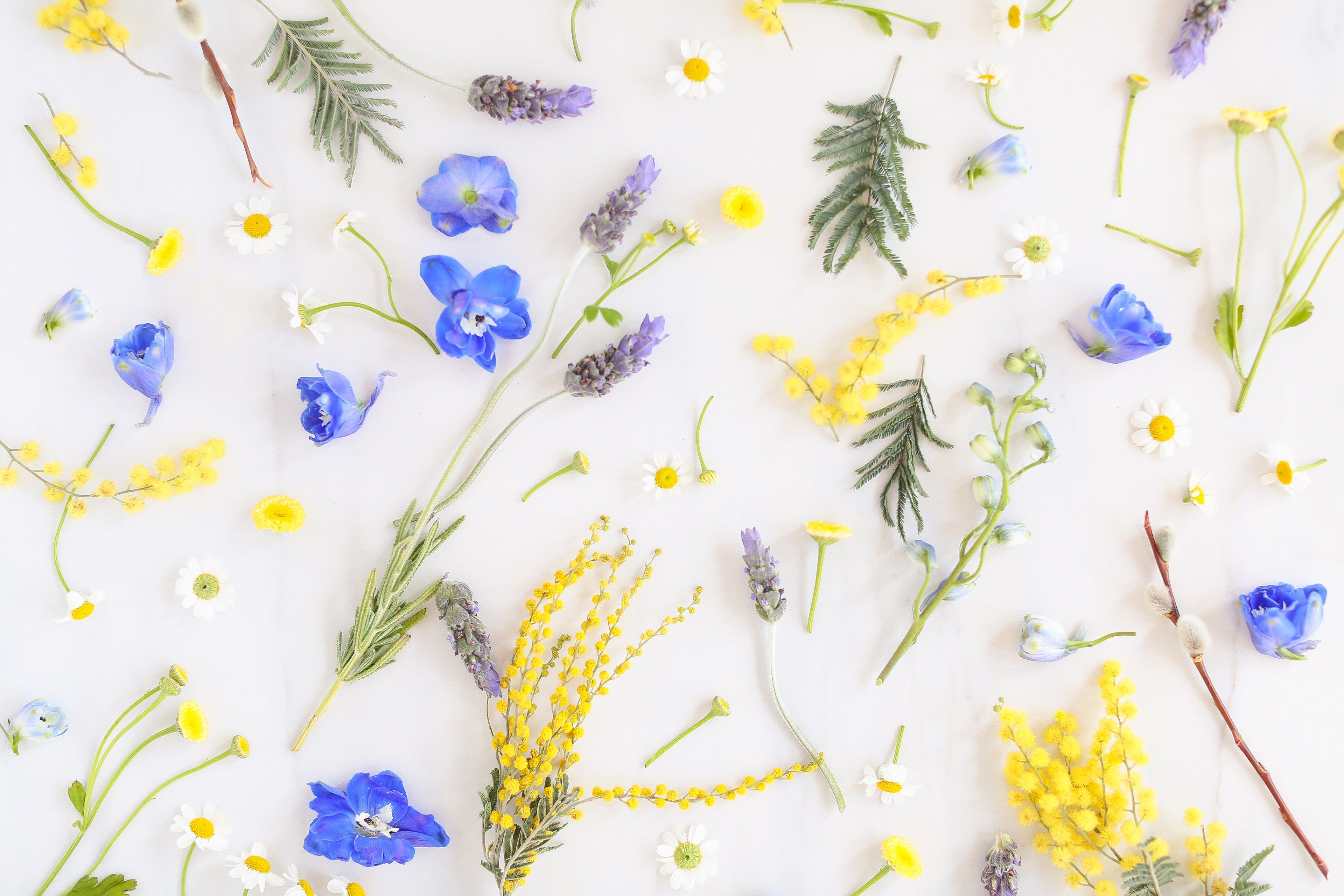 Free Desktop Wallpaper Spring