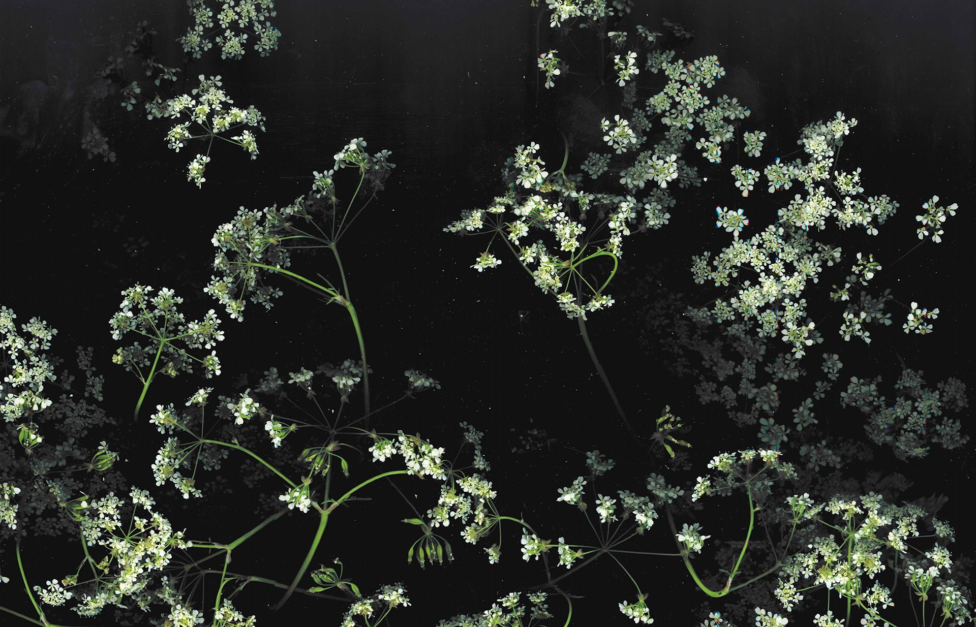 Aesthetic dark desktop wallpaper free aesthetic dark. Dark desktop background, Aesthetic desktop wallpaper, Laptop wallpaper desktop wallpaper