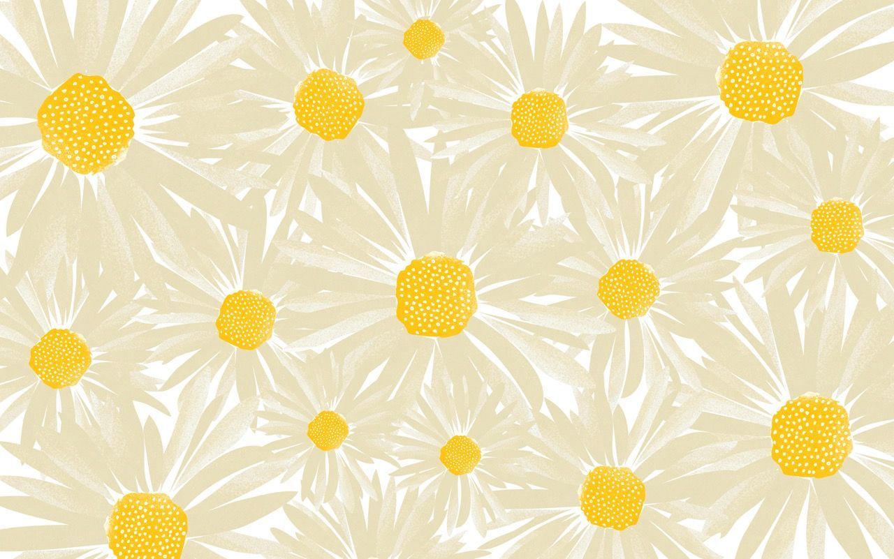 Daisy Aesthetic Computer Wallpaper Free Daisy Aesthetic Computer Background