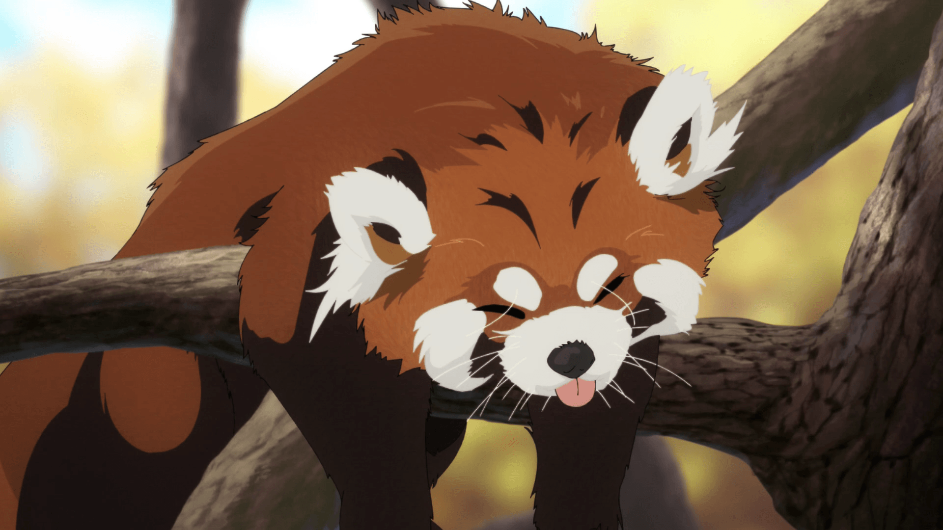 Red Panda Anime Wallpaper