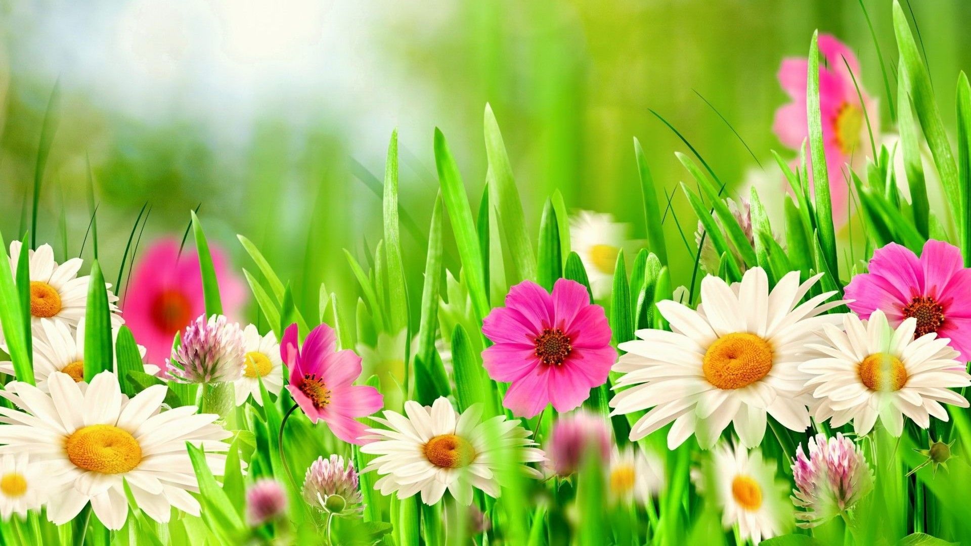 Wallpaper HD Beautiful Spring Live Wallpaper HD. Spring cover photo, Facebook cover, Easter wallpaper