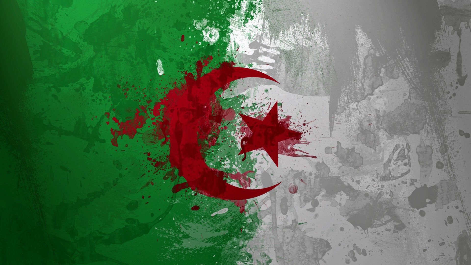 Wallpaper, illustration, red, green, flag, circle, Algeria, ART, color, computer wallpaper 1920x1080