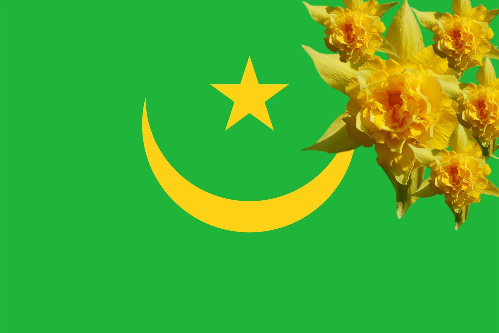 green flowers flags moon and star yellow flowers 1600x1067 wallpaper High Quality Wallpaper, High Definition Wallpaper