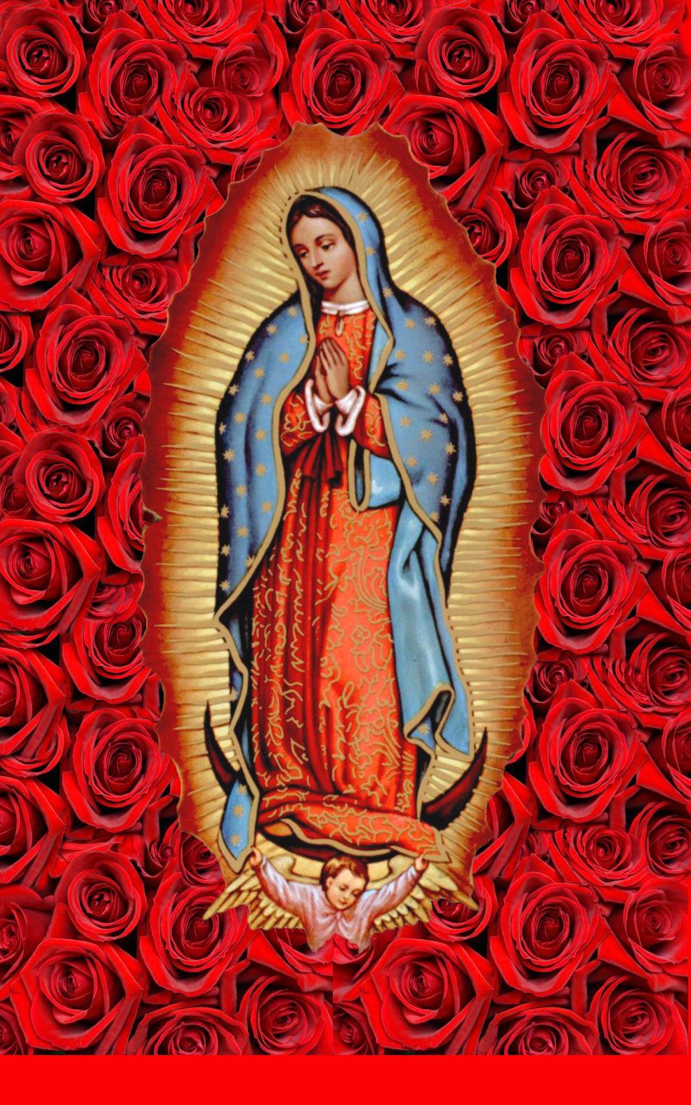 Wallpaper Virgen De Guadalupe With Roses