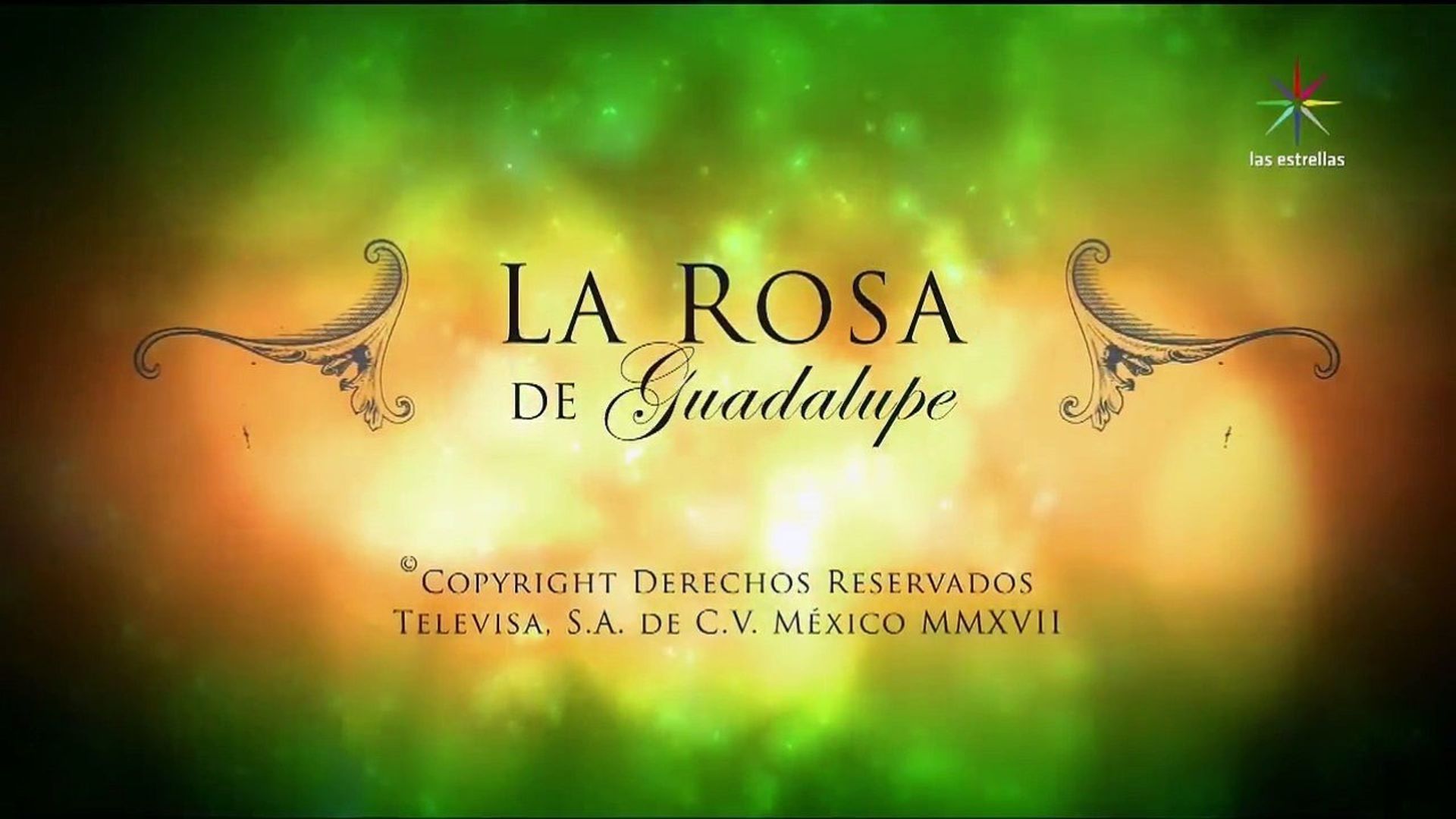 La Rosa De Guadalupe HD Wallpaper