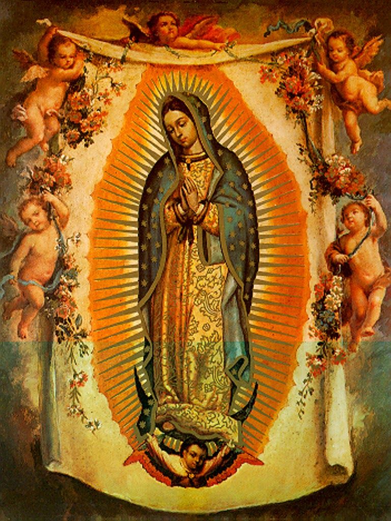 La Rosa De Guadalupe Wallpaper & Free La Rosa De Guadalupe Wallpaper.png Transparent Image
