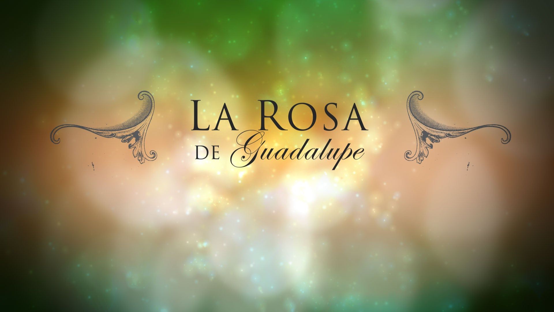 La Rosa De Guadalupe Wallpapers - Wallpaper Cave
