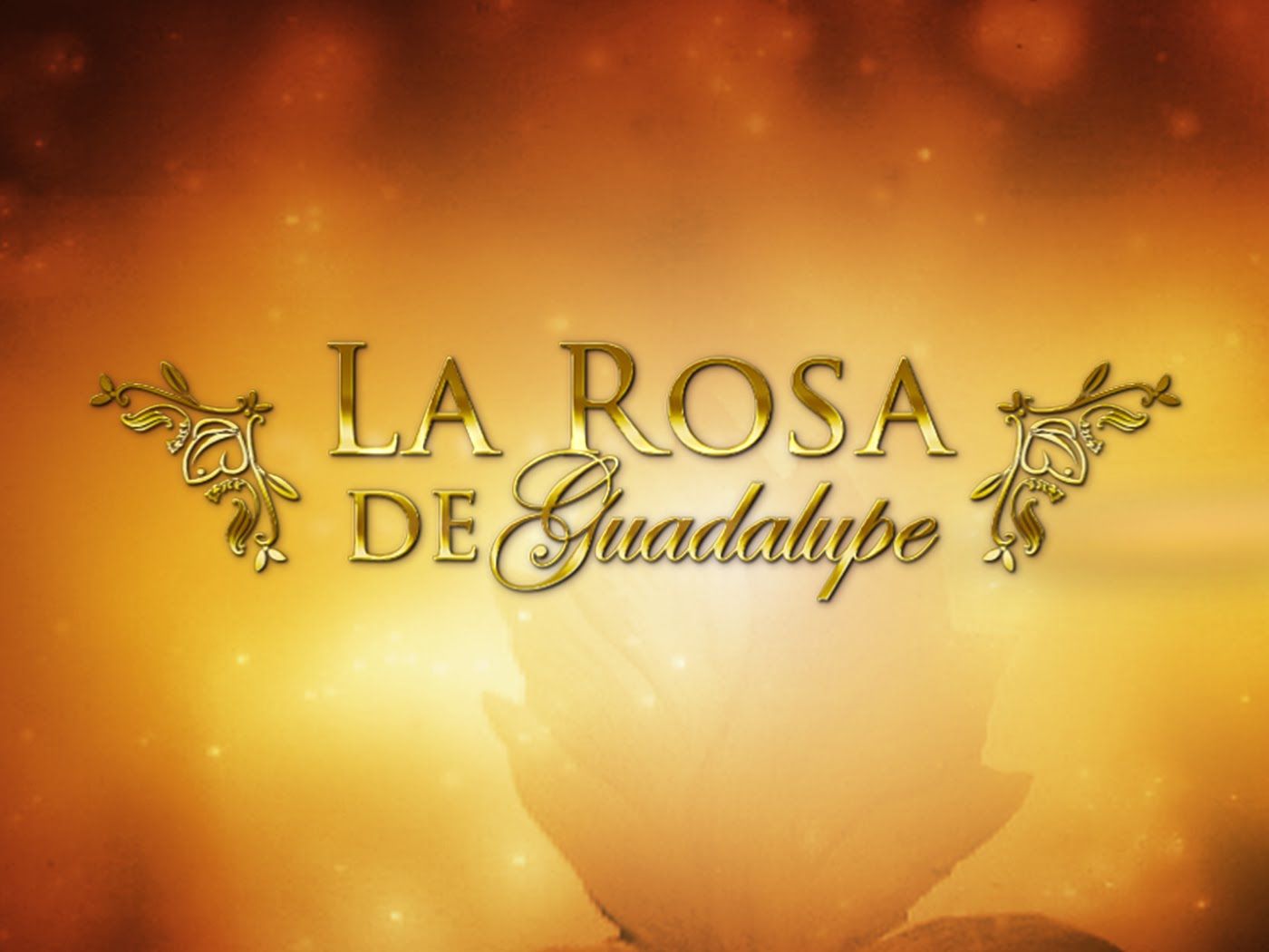 La Rosa De Guadalupe Wallpapers - Wallpaper Cave