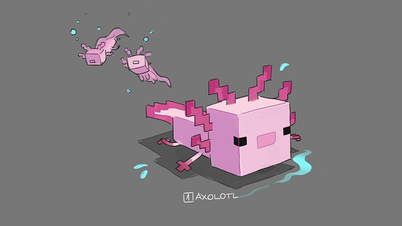 Minecraft Axolotl Wallpapers - Wallpaper Cave