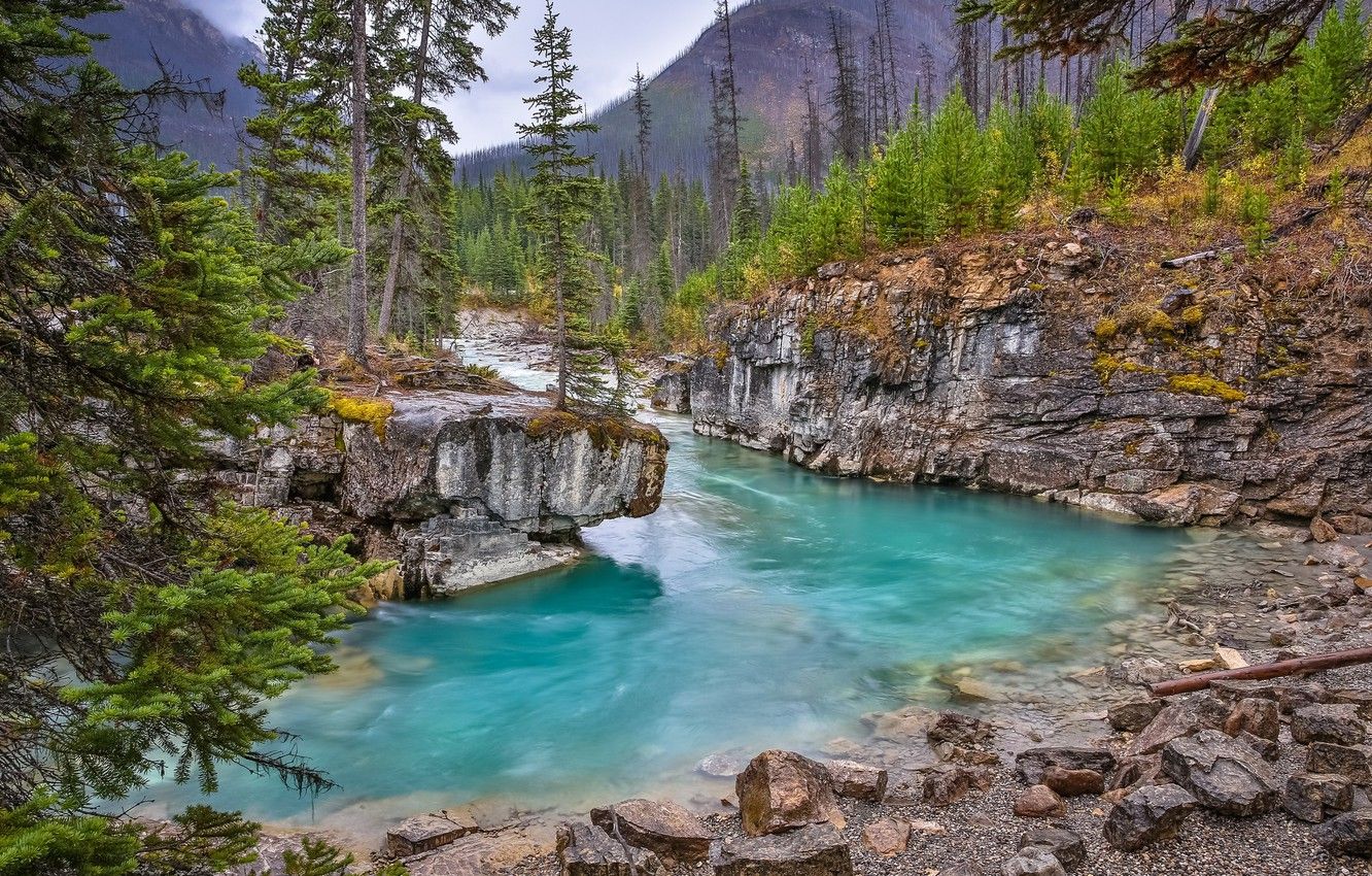 Wallpaper forest, trees, river, rocks, Canada, Canada, British Columbia, British Columbia, Canadian Rockies, Canadian Rockies, Kootenay National Park, Marble Canyon, Kootenay national Park, Marble canyon, Tokum Creek, Tokumm Creek image for desktop