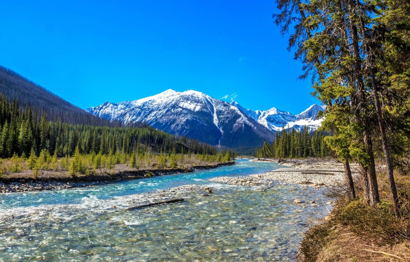 Wallpaper forest, trees, mountains, river, Canada, Canada, British Columbia, British Columbia, Canadian Rockies, Canadian Rockies, Kootenay national Park, Vermilion River, River Vermillion, Kootenay Nation Park image for desktop, section пейзажи