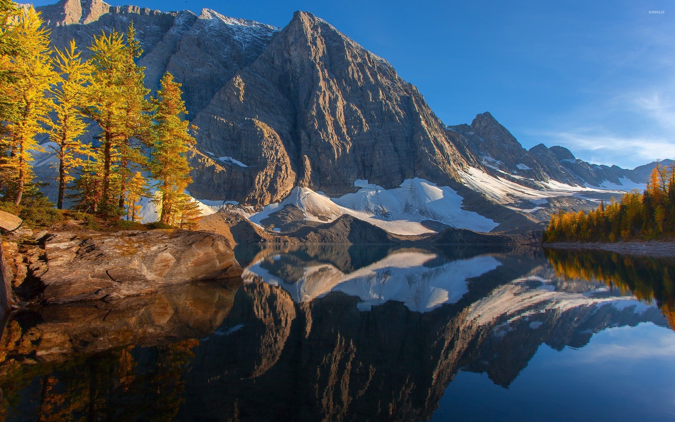 Kootenay National Park Wallpaper. Jurassic Park Dinosaur Wallpaper, Attitude Trampoline Park Wallpaper and Great American Ballpark Wallpaper