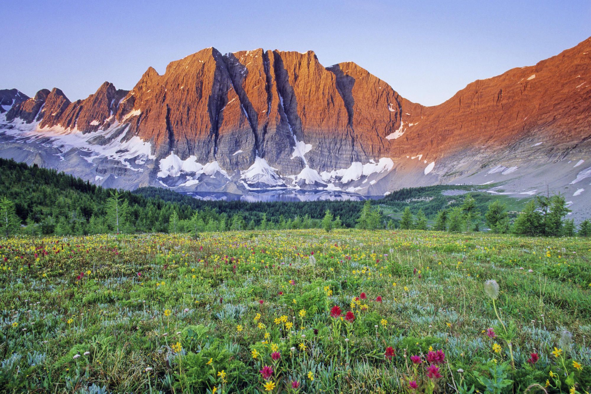 Free download National Park British Columbia Canada HD Walls Find Wallpaper [2000x1333] for your Desktop, Mobile & Tablet. Explore Columbia Paint and Wallpaper. Peel and Stick Wallpaper, Discount Wallpaper