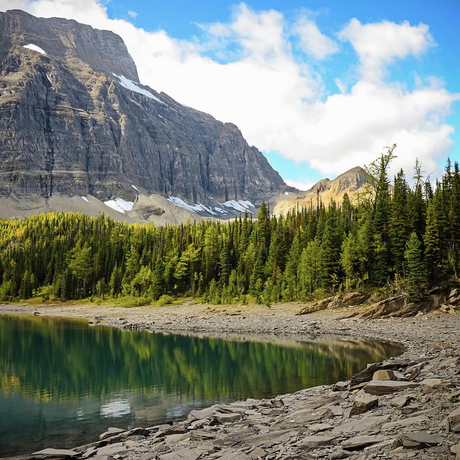 Floe Lake in Kootenay National Park British Columbia Photograph by Shawna and Damien Richard