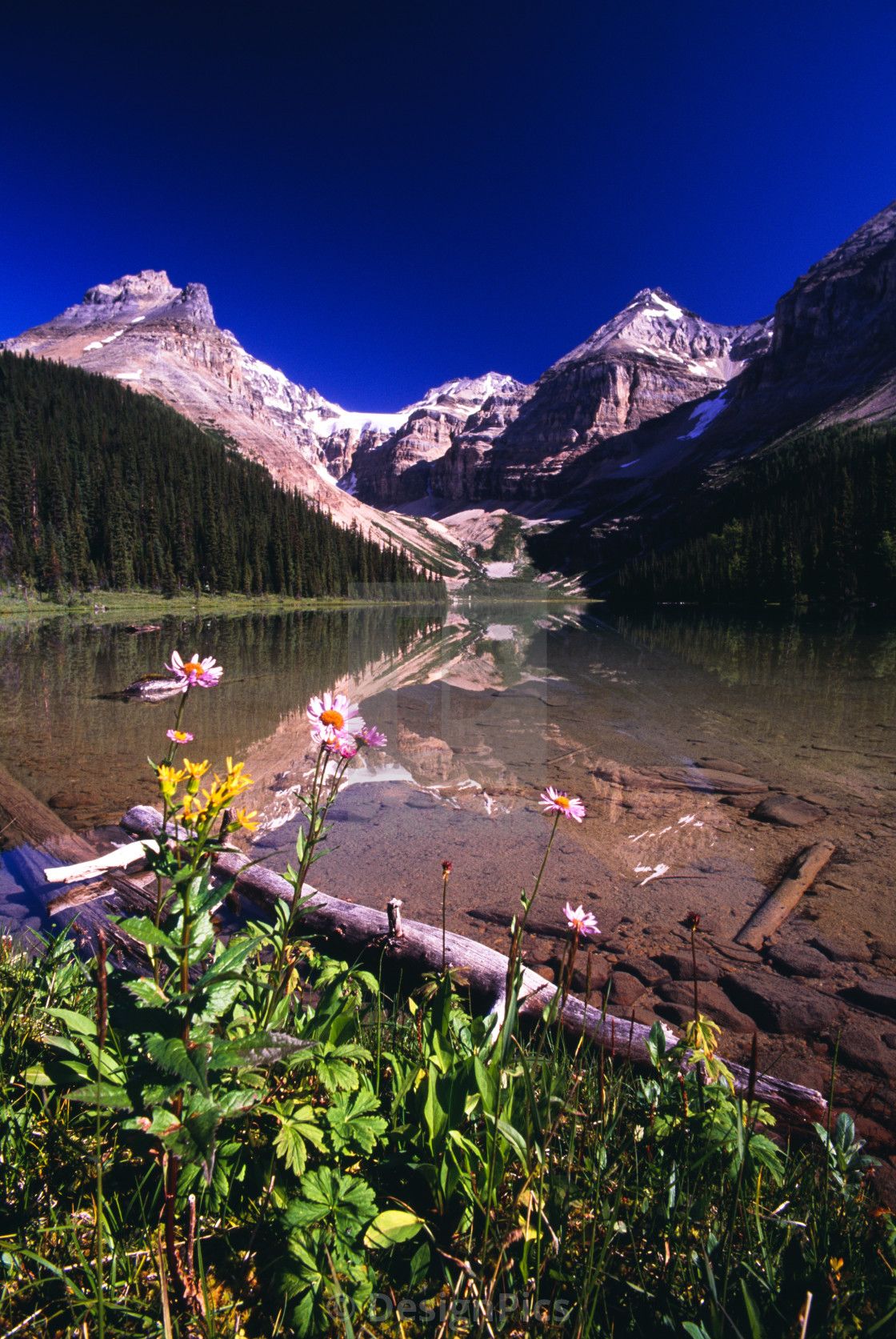 Kaufmann Lake, Kootenay National Park, British Columbia, Canada, download or print for £30.32