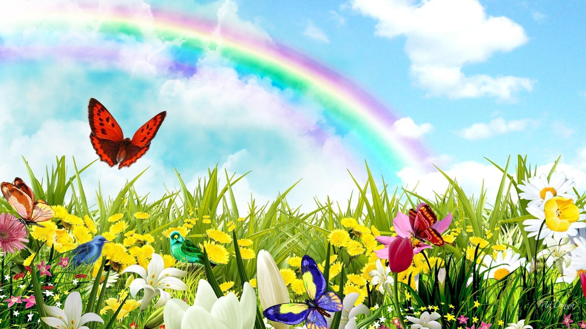 Rainbow Surprises #rainbow #flowers #spring #birds #field #butterflies #summer #clouds nature an. Facebook cover image wallpaper, Happy spring day, Happy spring