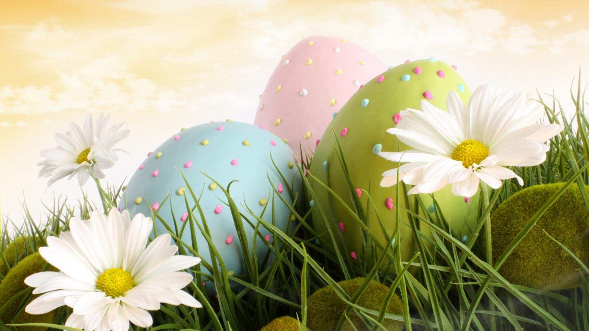 Easter Wallpaper HD download free colletion