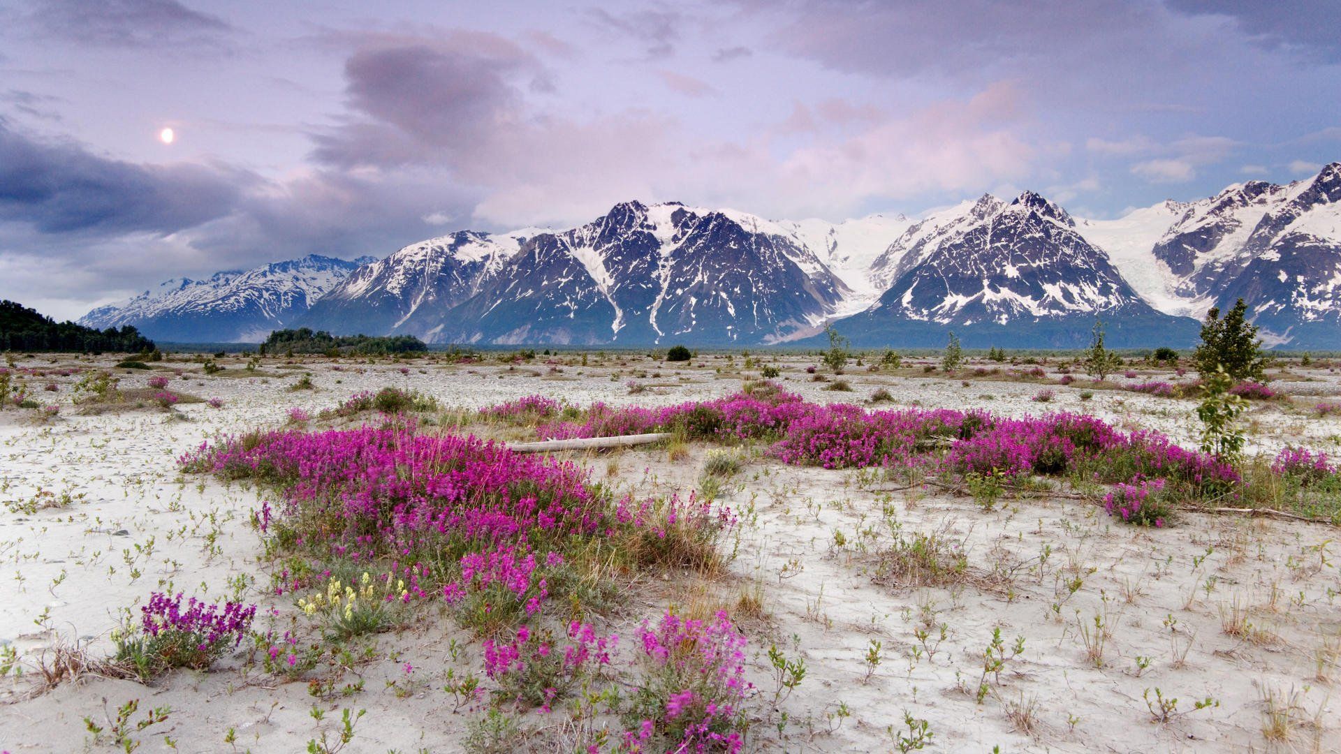 Alaska Background