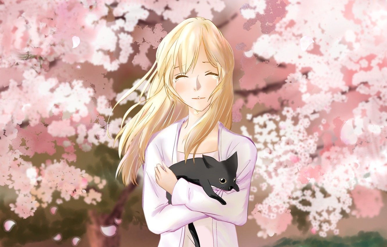 Wallpaper cat, girl, spring, garden, Sakura, Shigatsu wa Kimi no Uso, Your April lie image for desktop, section сёдзё