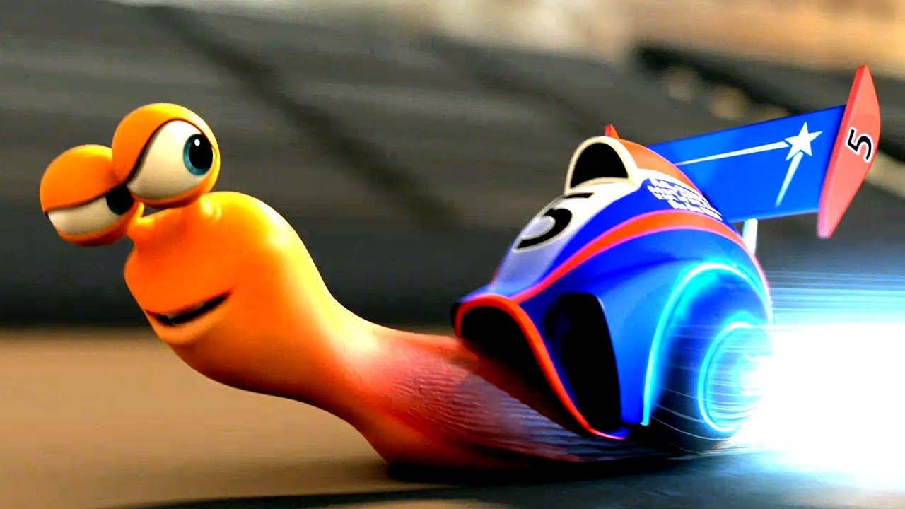 Turbo Snail Wallpapers Wallpaper Cave