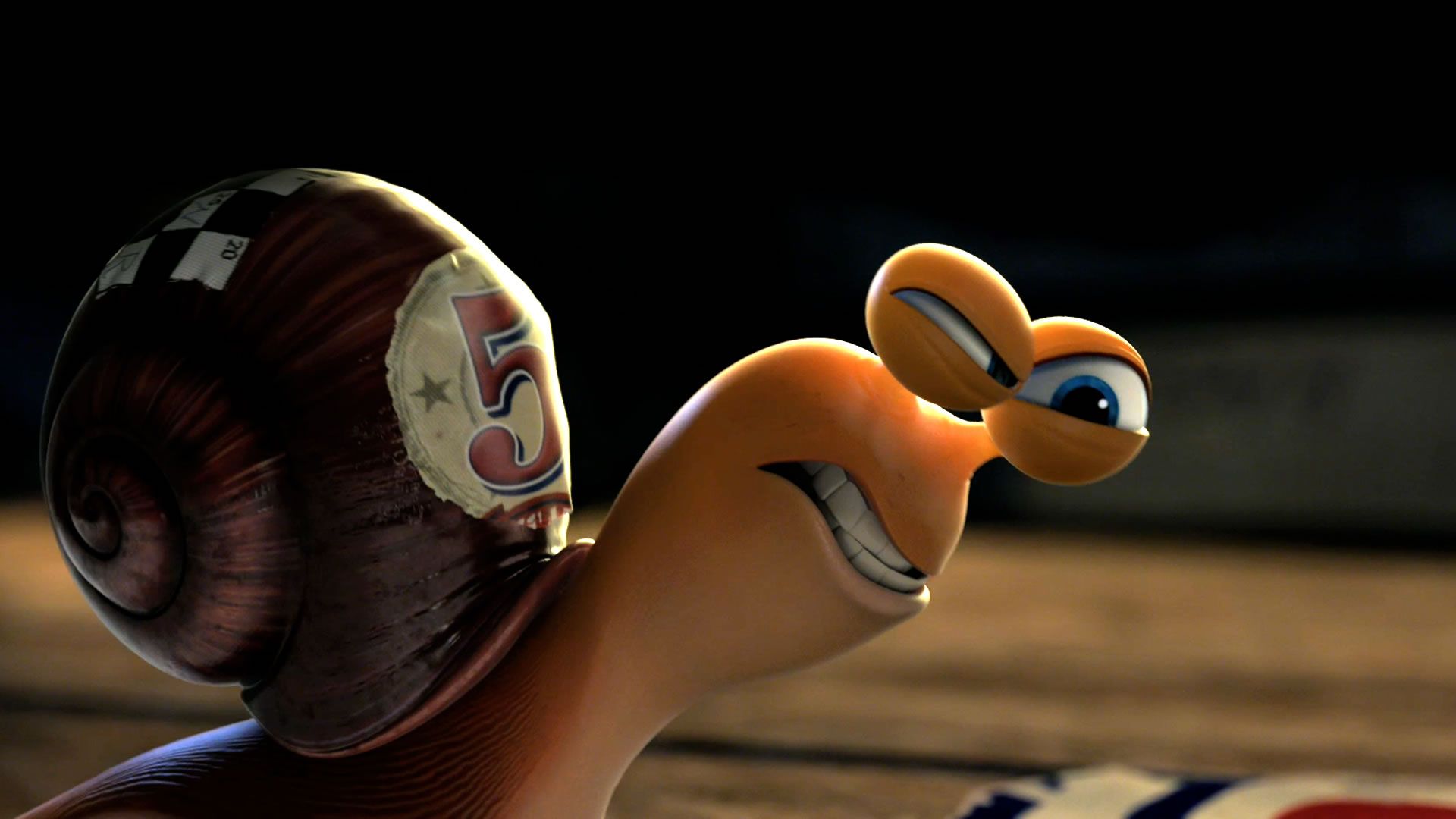 Turbo Snail Wallpapers Wallpaper Cave