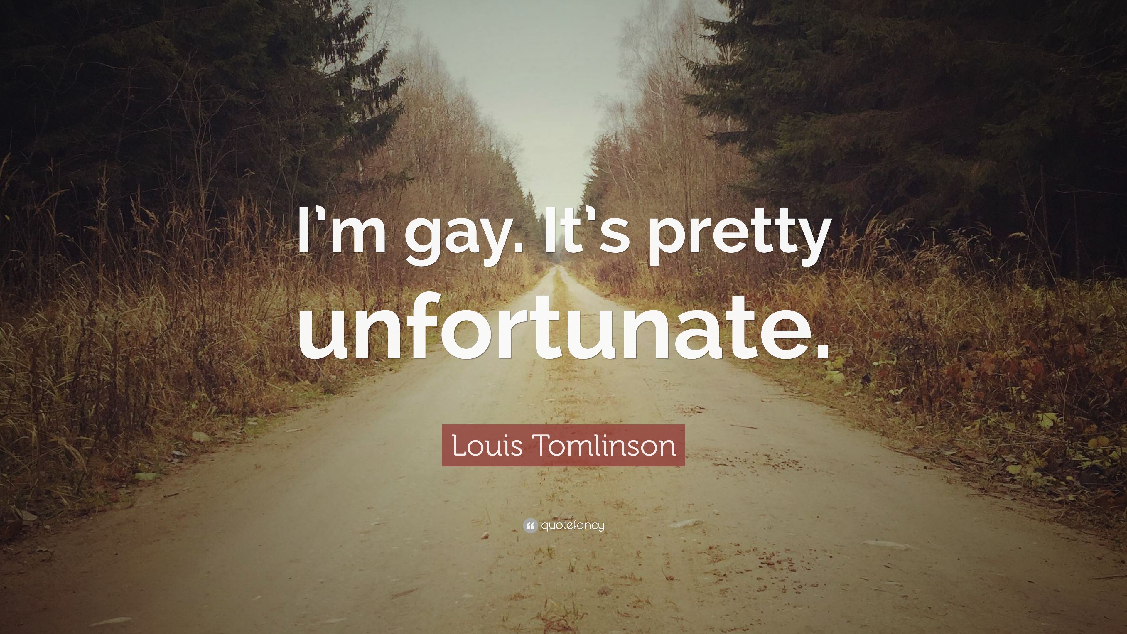 Louis Tomlinson Quote: “I'm gay. It's pretty unfortunate.” 12 wallpaper Quotefancy QUotes