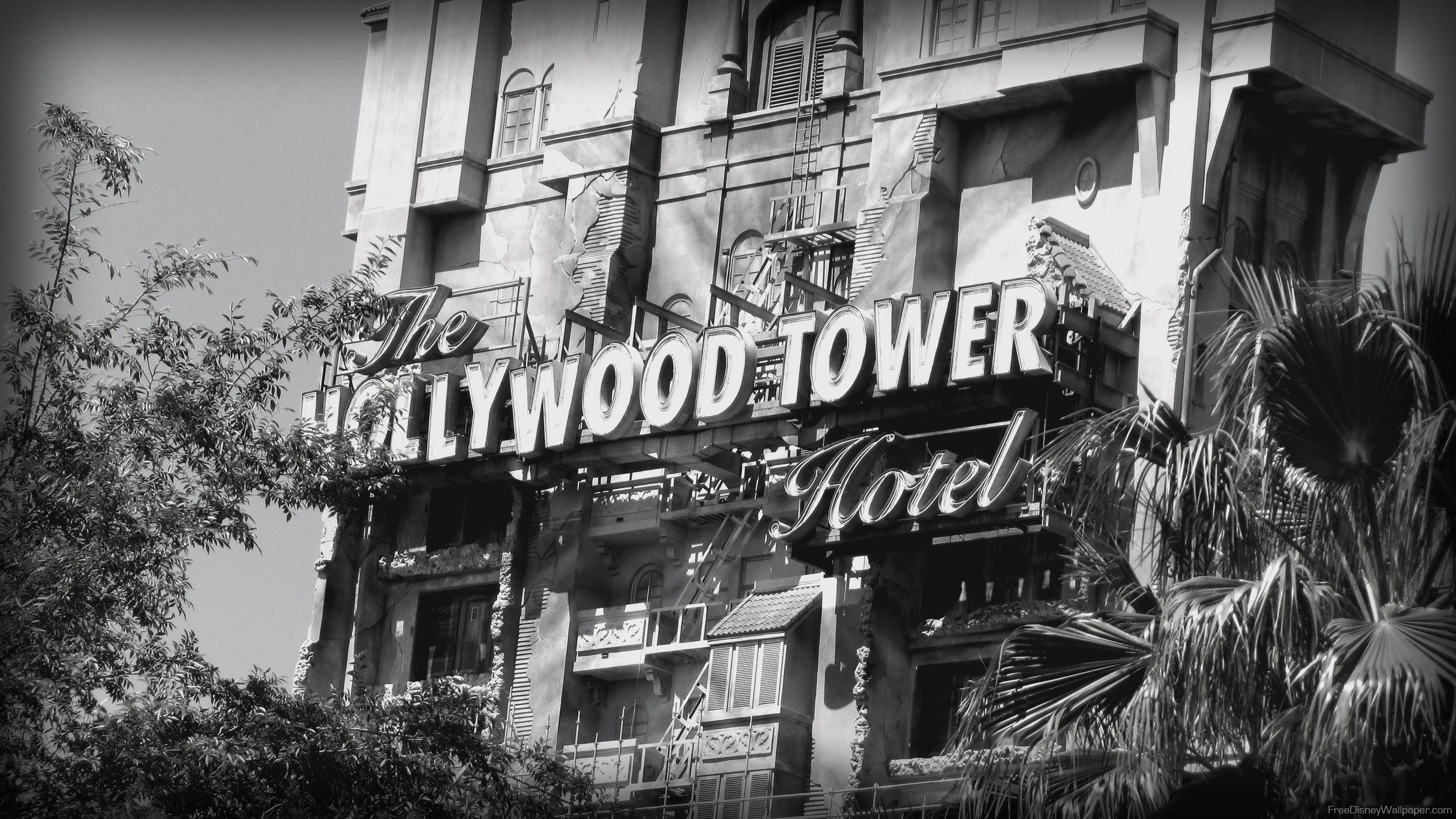 Disney World, The Twilight Zone Tower Of Terror