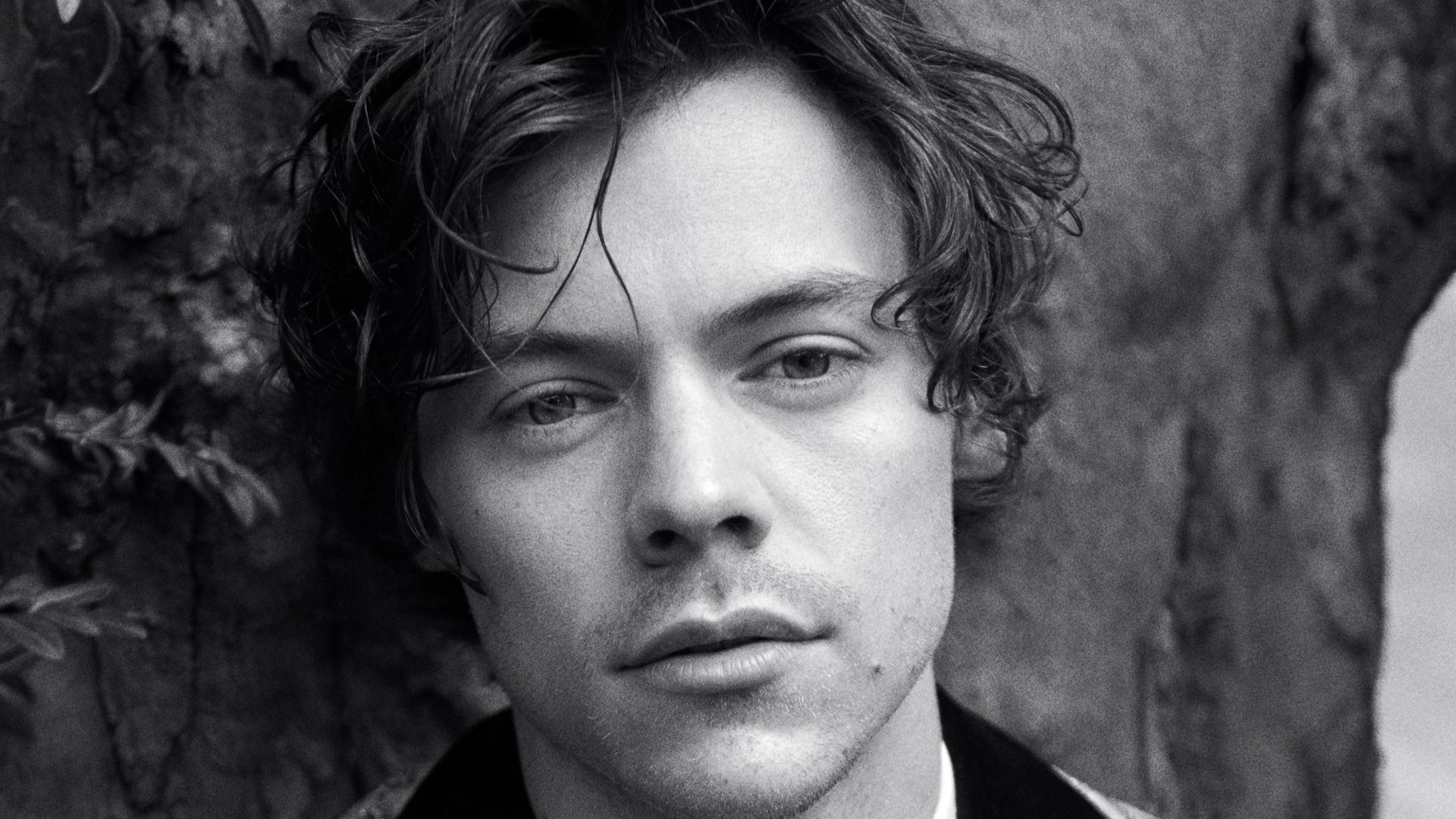 Black And White Photo Of Harry Styles HD Harry Styles Wallpaper