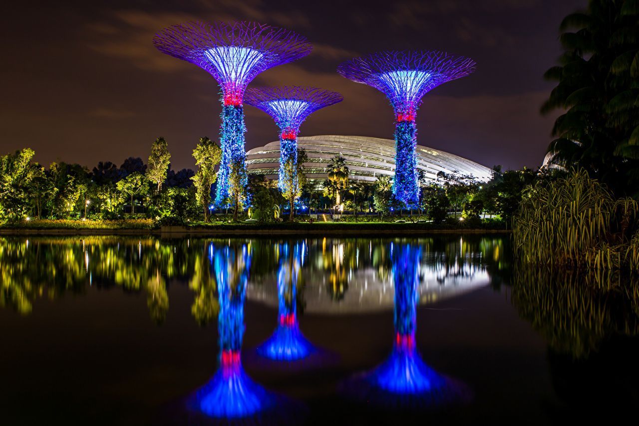 Wallpaper Singapore Gardens by the Bay Nature Pond Reflection Night night time. Singapore garden, Gardens by the bay, Singapore