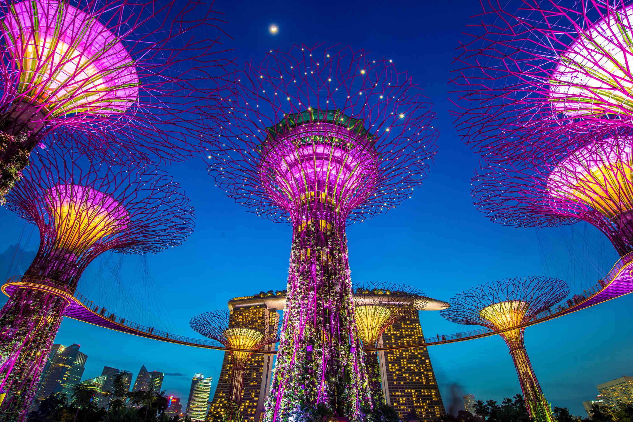 Gardens By The Bay HD Wallpaper