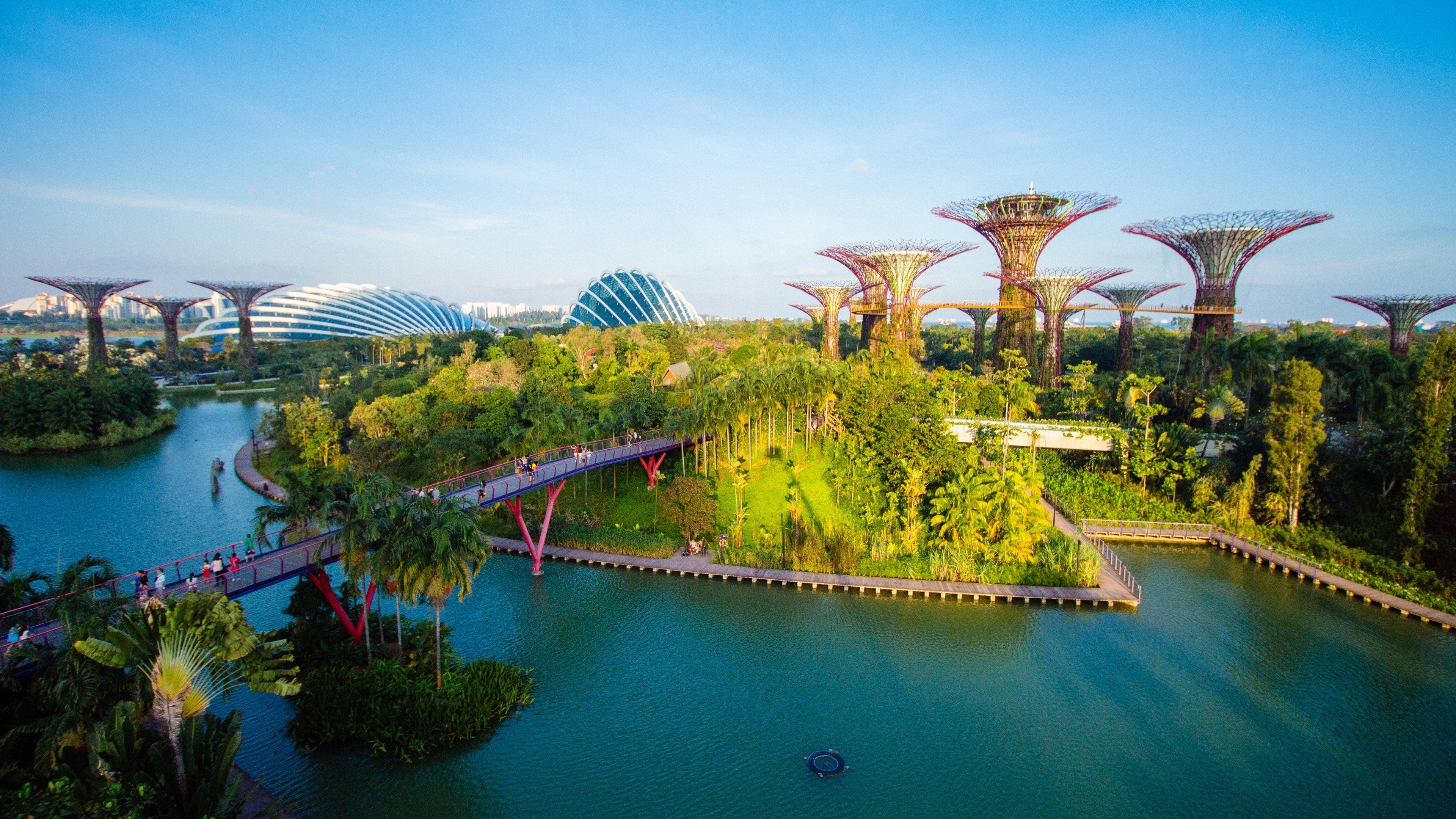 Gardens By The Bay High Definition Wallpaper 46779
